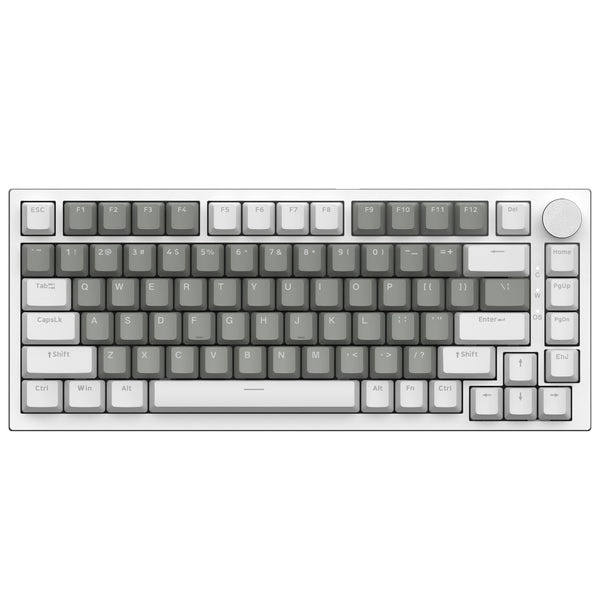 White & Grey (HP Tactile Switch,White Lighting)