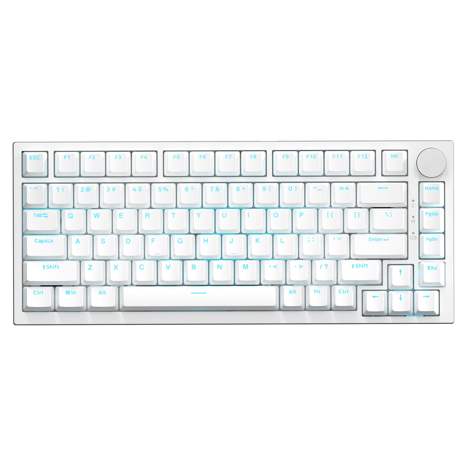 White (Clicky Blue Switch,Ice Blue Lighting)