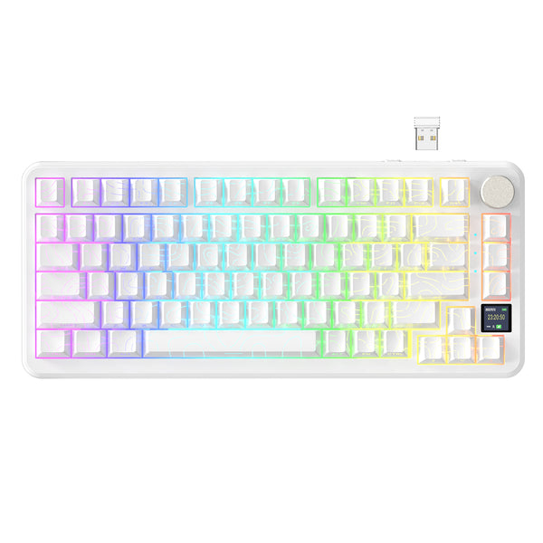 White Contours / Blueberry Switch (Linear)